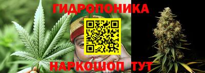 PSILOCYBIN Кунгур