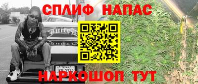 молекула духа Кулебаки