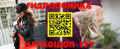 PSILOCYBIN Кунгур
