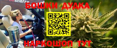 PSILOCYBIN Кунгур