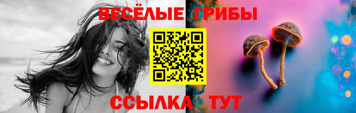 Галлюциногенные грибы мицелий Костомукша