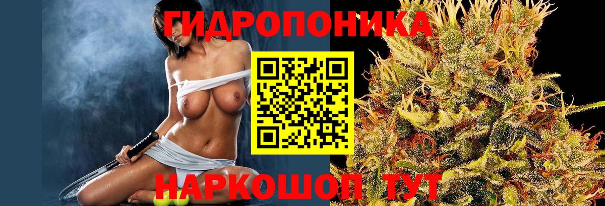 Бошки Шишки план  Вход с VPN  Костомукша  Шишки марихуана марихуана 